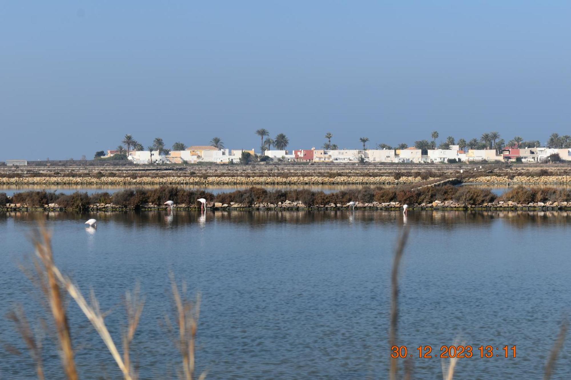 Apart Turisticos Marine Rest La Manga Mar Menor Piscinas Privadas Playa Paraiso  外观 照片