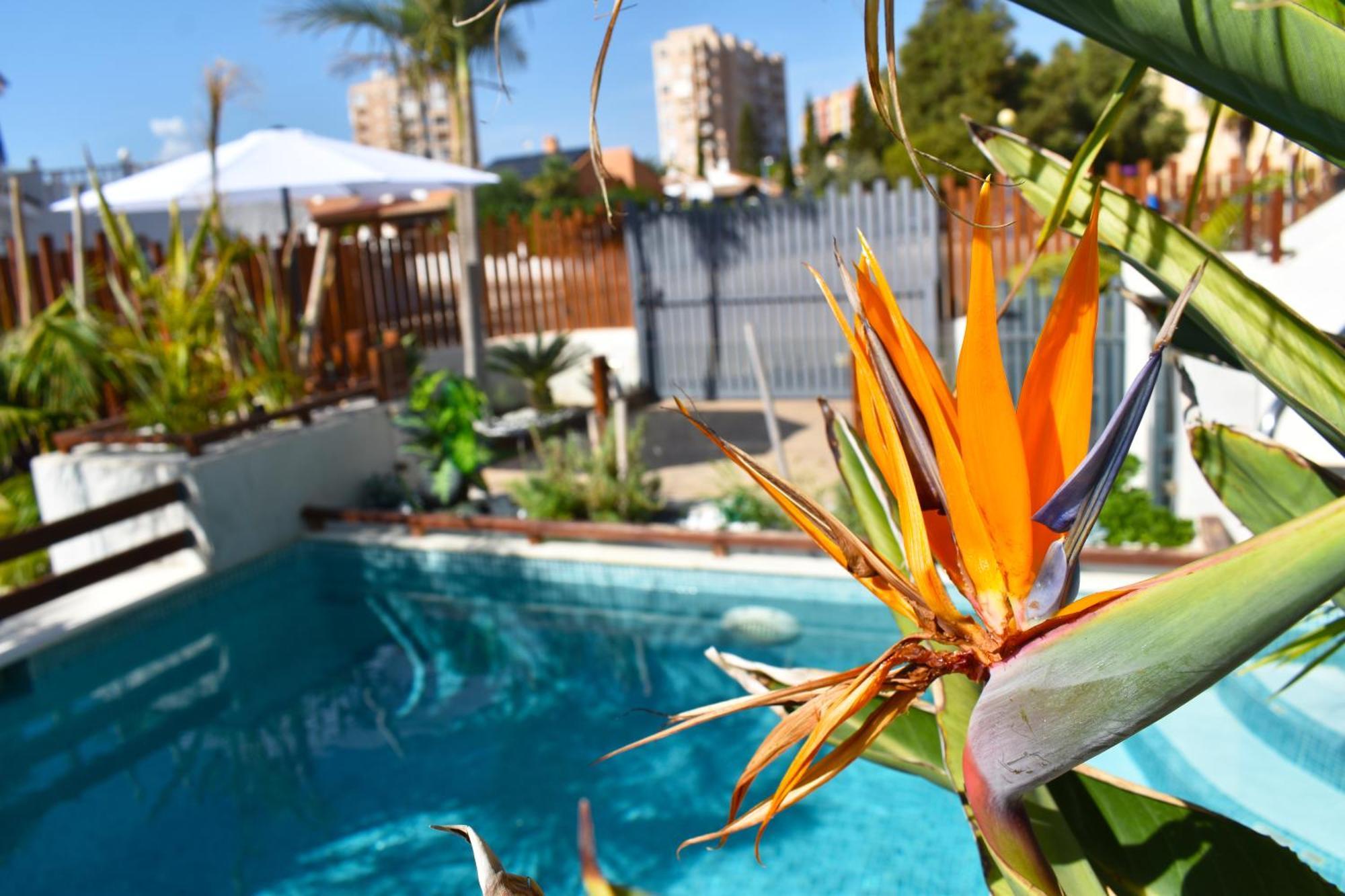 Apart Turisticos Marine Rest La Manga Mar Menor Piscinas Privadas Playa Paraiso  外观 照片